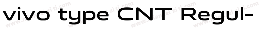 vivo type CNT Regul字体转换